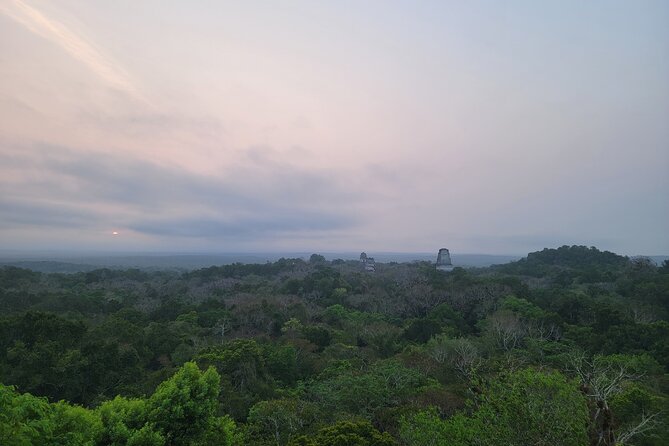 Tikal Private Tour from Flores Guatemala with Transportation - What the Price of $133 Includes
