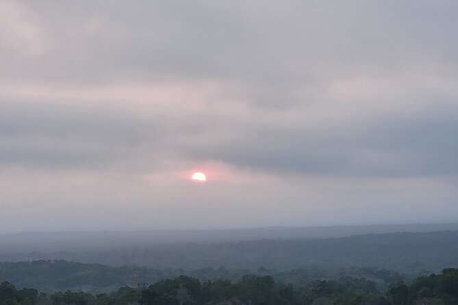 Tikal Private Tour from Flores Guatemala with Transportation - Timing, Flexibility, and the Shape of the Day