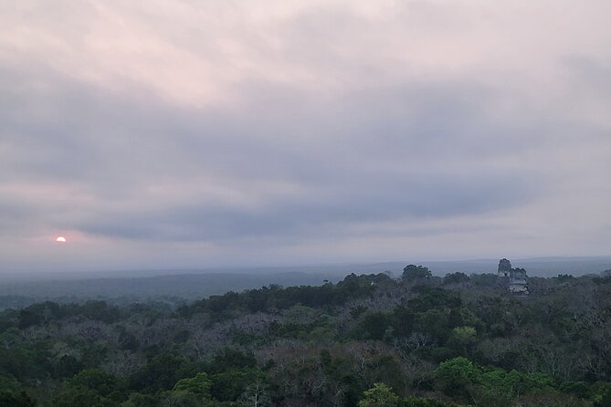 Tikal Private Tour from Flores Guatemala with Transportation - Who Will Get the Most From This Tour