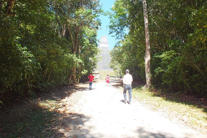 Tikal Ruins Day Tour from Flores - Key points to know before booking