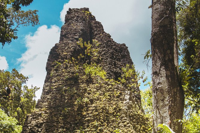 Tikal Small Group all Included From Flores - Central Park and the Great Jaguar