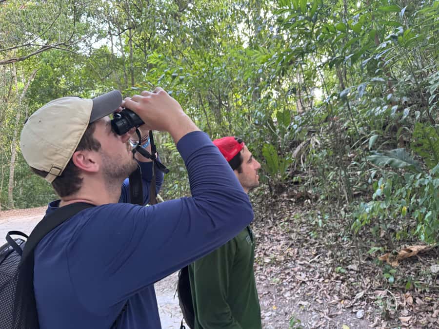 Tikal Sunset, Archeological focus and Wildlife Spotting - Key details that shape the Tikal day