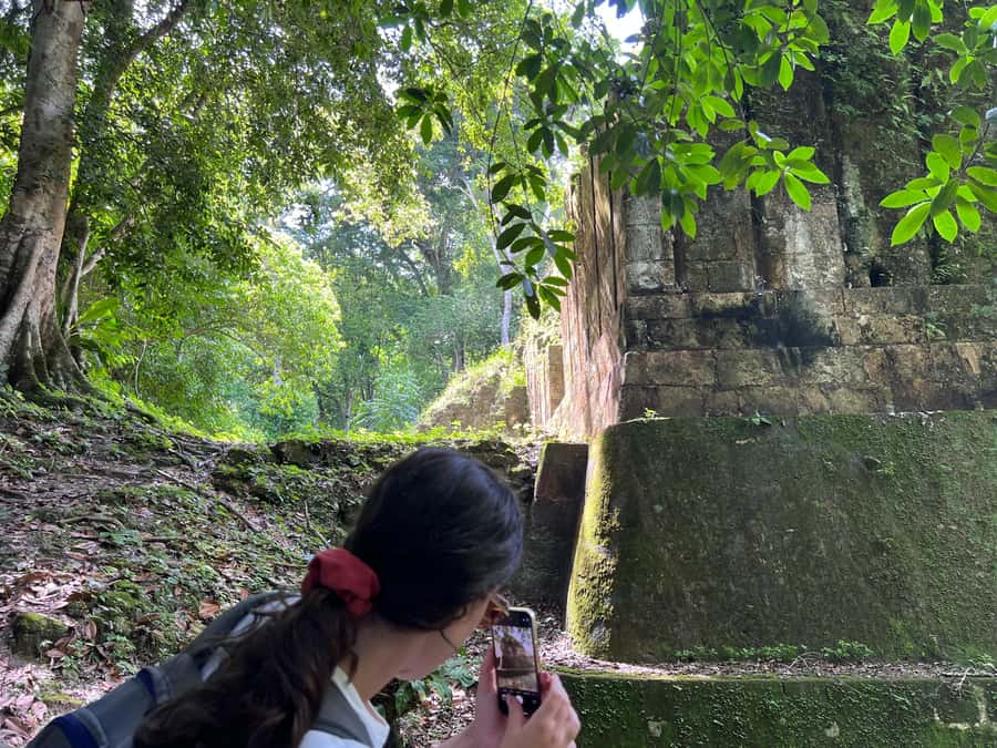 Tikal Sunset, Archeological focus and Wildlife Spotting - The Great Plaza and Tikal’s political center