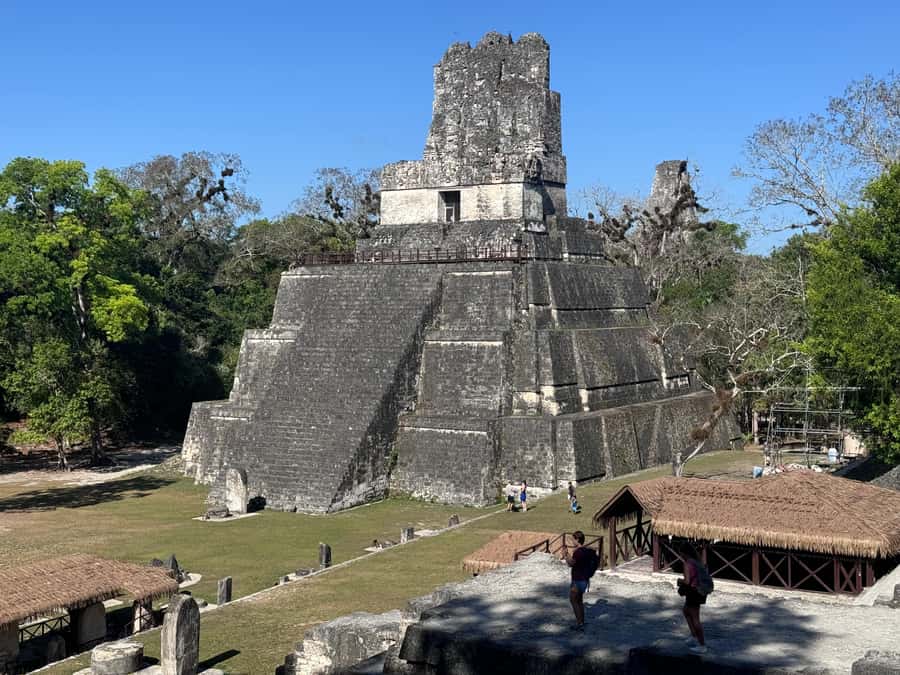 Tikal Sunset, Archeological focus and Wildlife Spotting - Pickup from Flores, San Ignacio, and the Petén area