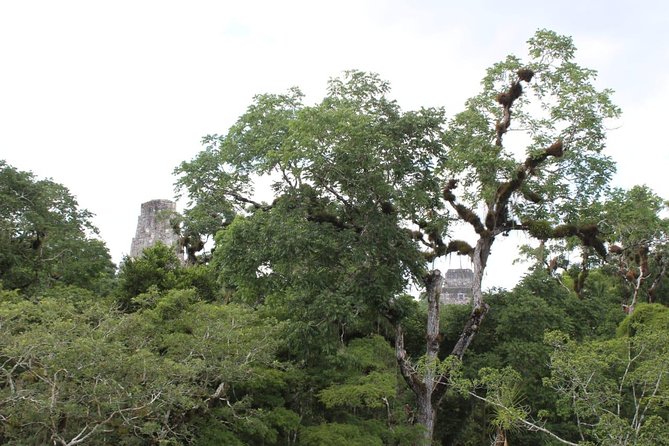 Tikal VIP Exclusive Tour All inclusive from Flores Guatemala - Entering Tikal National Park around 8:30 a.m.