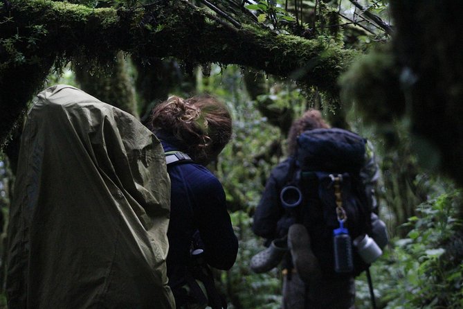 Toliman Volcano Hike - Toliman Volcano Hike: Key Points
