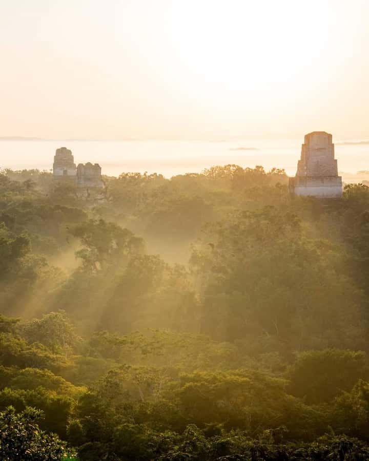 Tour and transportation with tour guide to Tikal. - The 80-minute ride from Flores to Tikal