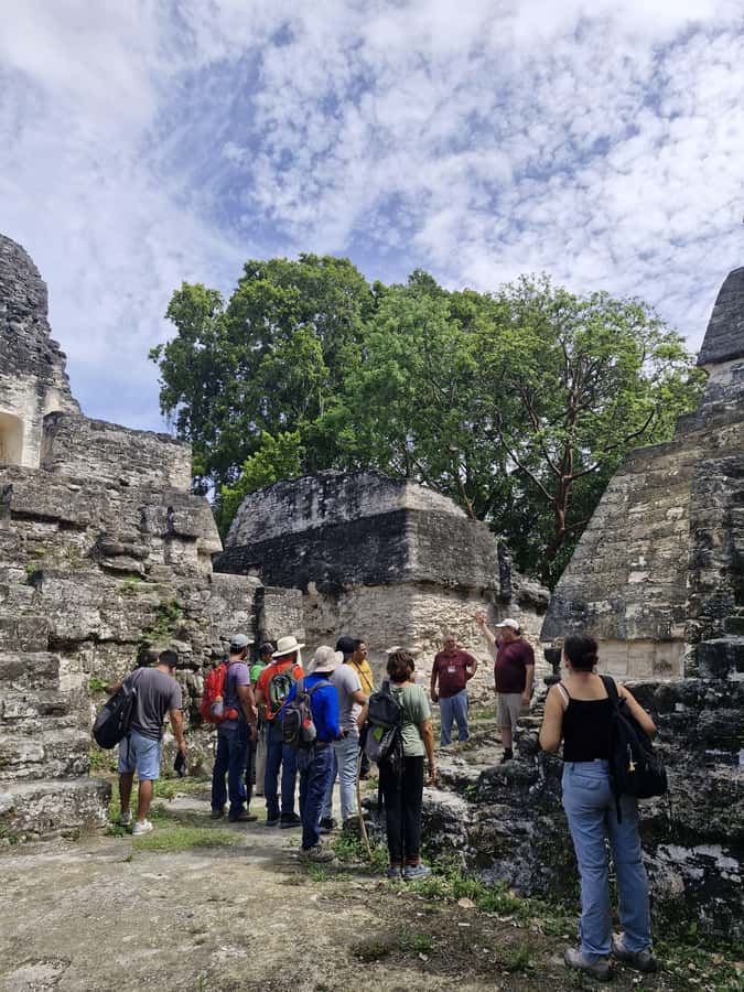 Tour and transportation with tour guide to Tikal. - Who will get the most from this tour