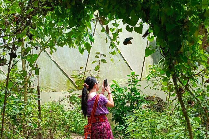 Tour in the Atitlan Nature Reserve - From San Pedro La Laguna to the reserve