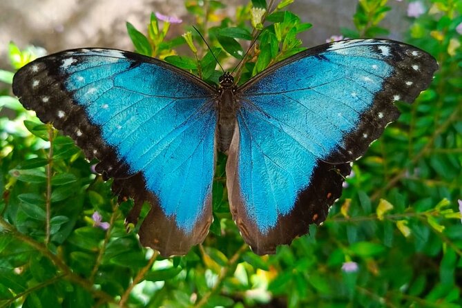 Tour in the Atitlan Nature Reserve - Waterfalls, forest trails, and a moderate physical challenge