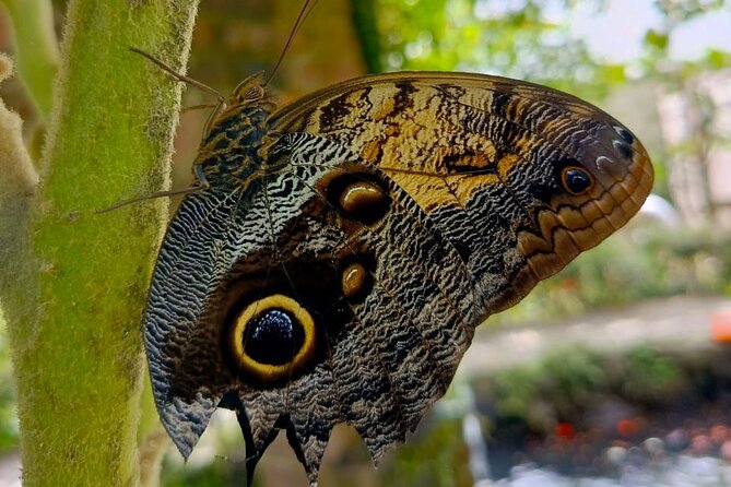 Tour in the Atitlan Nature Reserve - Why the guide can make a difference