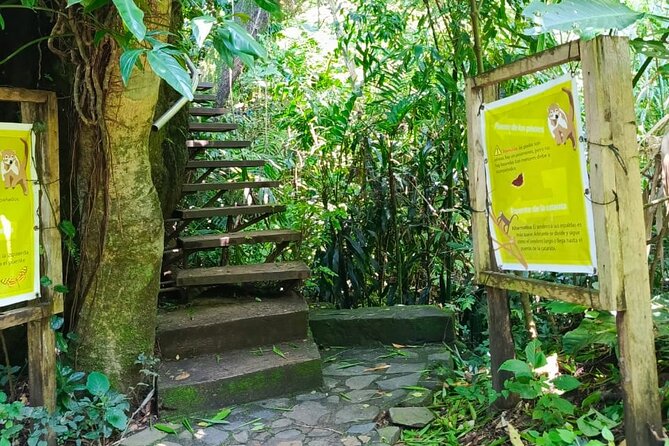 Tour in the Atitlan Nature Reserve - Who will enjoy this outing most