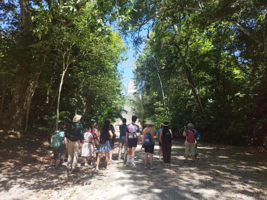 Tour to Tikal: from Mundo Maya Airport in Flores - Visitor center: maps, bathrooms, and a short pause