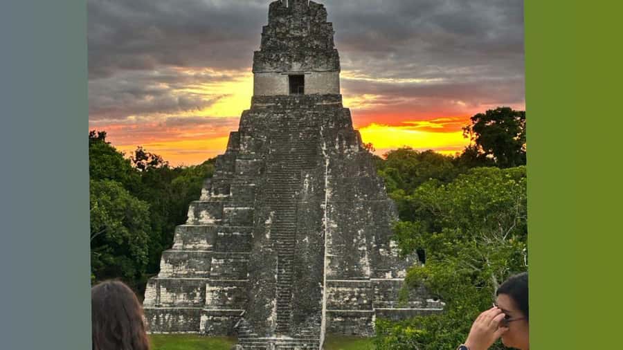 Tour to Tikal: from Mundo Maya Airport in Flores - Meeting at Mundo Maya Airport at 7:50 a.m.